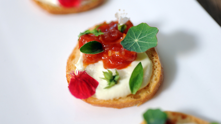 Tequila Food Pairing - Tomato Jams Cheese and Herbs